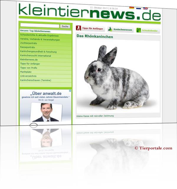 Kaninchen kleintiernews - das Onlinemagazin