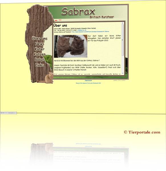 BKH von Sabrax - auch cinnamon und fawn